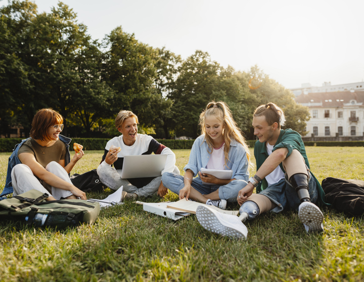 A group of friends sits on a green meadow and they talk and laugh together.