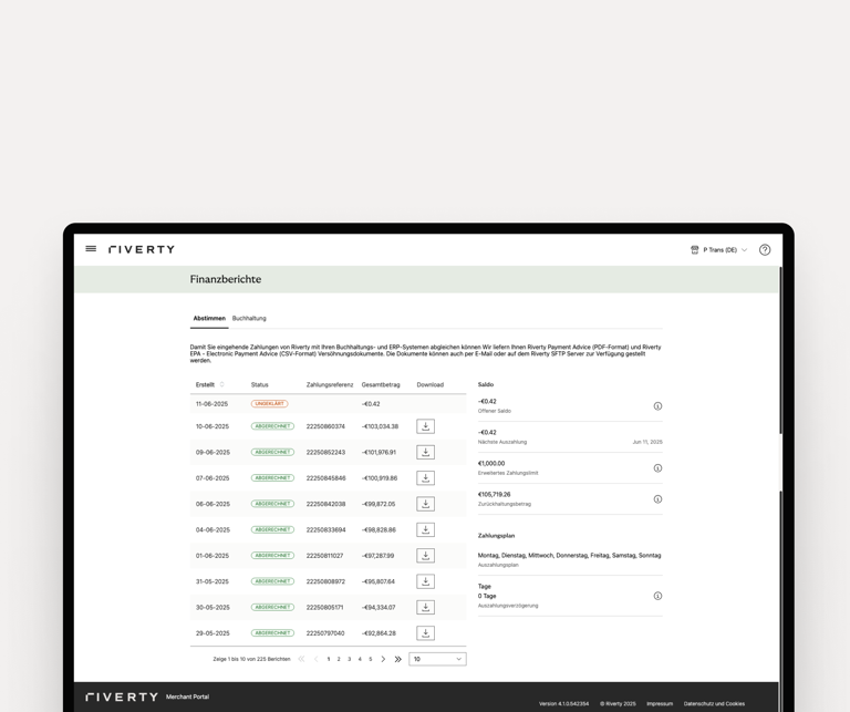 Riverty-Portal zeigt einen Finanzbericht mit Zahlungsdaten, -Status, Referenzen, Beträgen und Download-Symbolen.