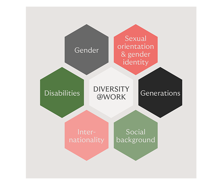 Grafisk præsentation af de forskellige mangfoldighedskategorier hos Riverty