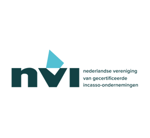 NVI Logo
