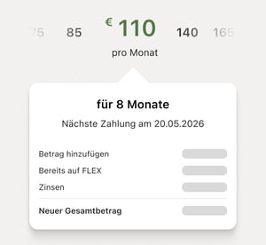 monthly payment