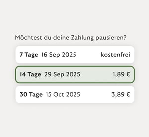 Pausiere Zahlungen vorübergehend.