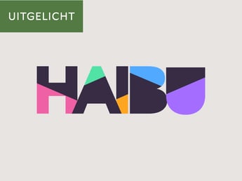 Logo Haibu