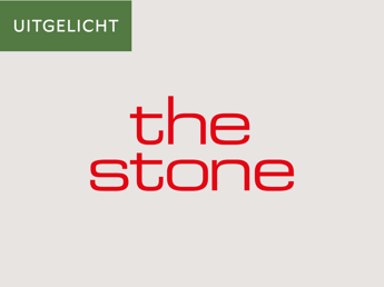 Logo The Stone