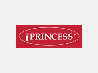 Princess Logo