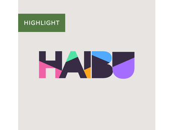 Logo haibu