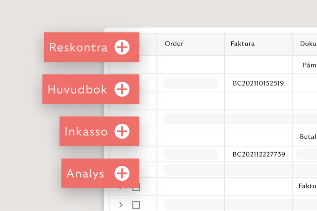 Rivertys Accounting as a Service i en lösning