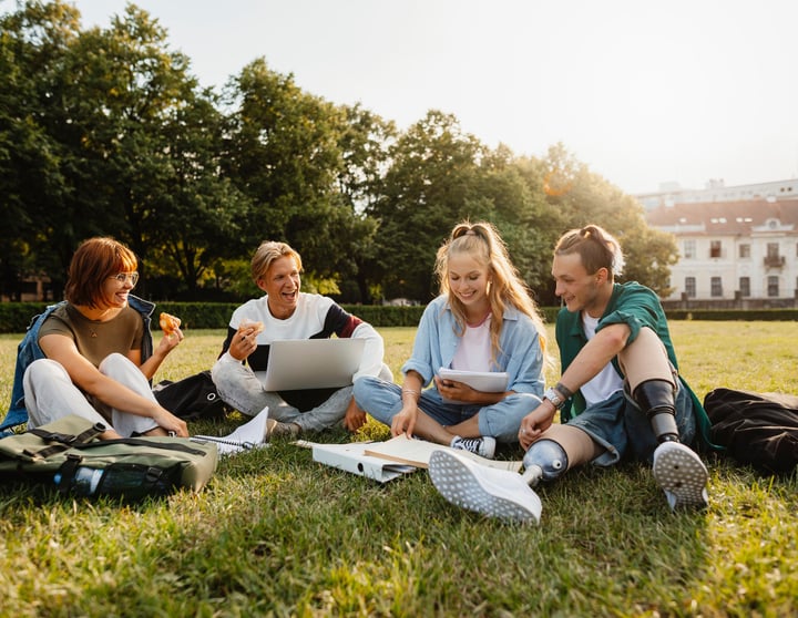 A group of friends sits on a green meadow and they talk and laugh together.
