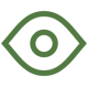 icon eye