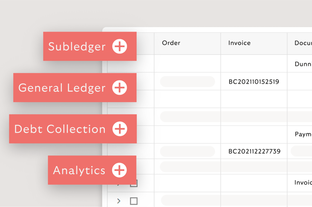 Rivertys Accounting as a Service is an all in one Solution - it offers handling of subledger, general ledger, debt collection and analytics.